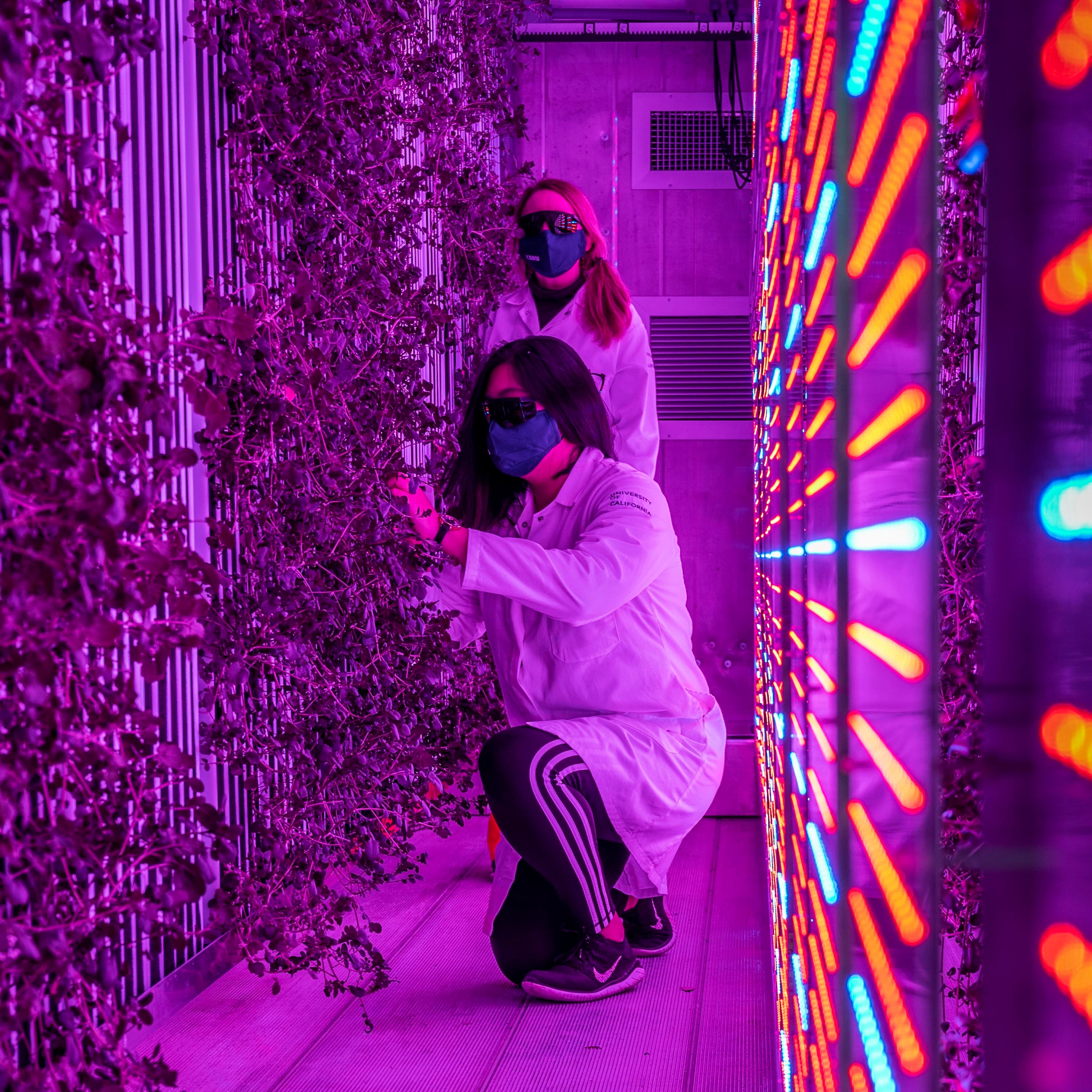 AIFS - Artificial Intelligence Institute for Next Generation Food Systems